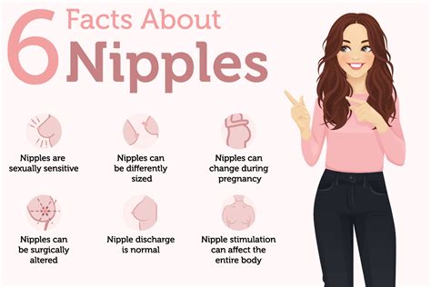 really long nipples|How to enlarge nipple length more than thickness